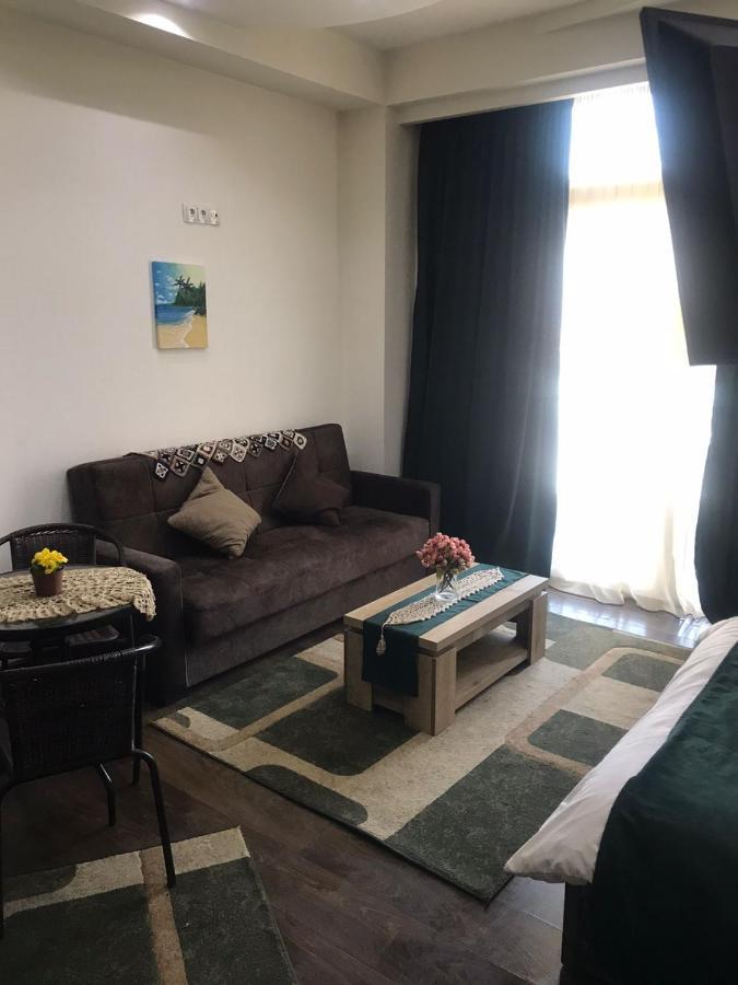 Luxury Studio Ortachala Tbiliszi Kültér fotó
