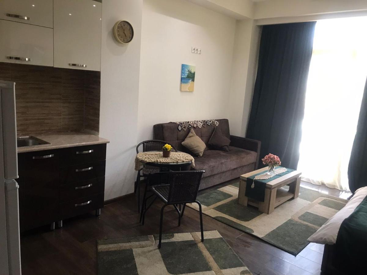 Luxury Studio Ortachala Tbiliszi Kültér fotó